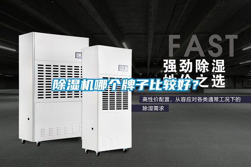 除濕機(jī)哪個(gè)牌子比較好？