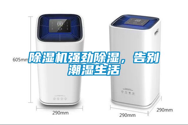 除濕機強勁除濕，告別潮濕生活