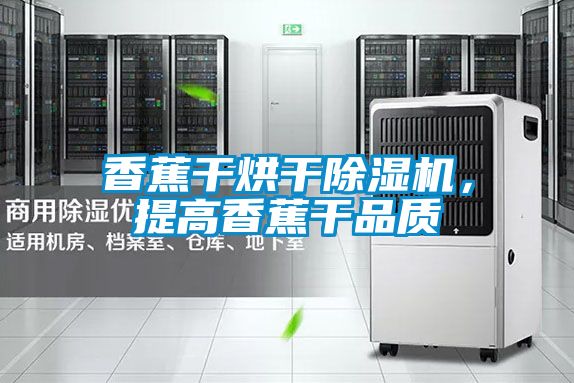 香蕉干烘干除濕機(jī)，提高香蕉干品質(zhì)