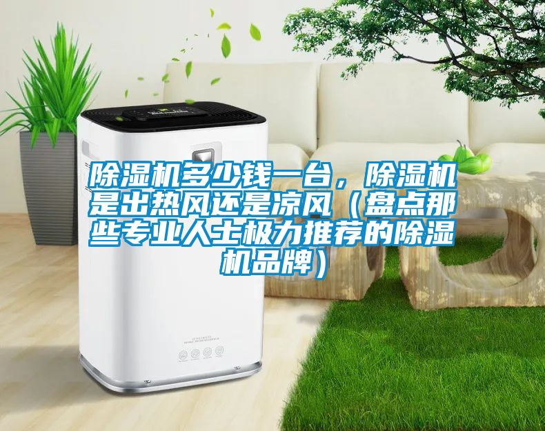 除濕機多少錢一臺，除濕機是出熱風還是涼風（盤點那些專業(yè)人士極力推薦的除濕機品牌）