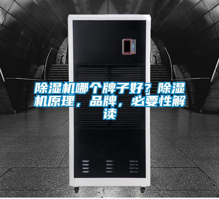除濕機(jī)哪個(gè)牌子好？除濕機(jī)原理，品牌，必要性解讀
