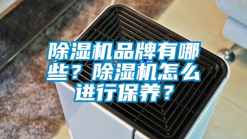 除濕機(jī)品牌有哪些？除濕機(jī)怎么進(jìn)行保養(yǎng)？