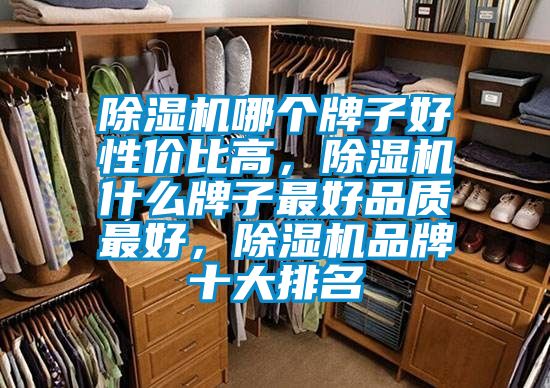 除濕機(jī)哪個(gè)牌子好性價(jià)比高，除濕機(jī)什么牌子最好品質(zhì)最好，除濕機(jī)品牌十大排名