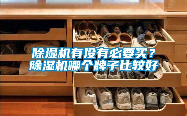 除濕機(jī)有沒有必要買？除濕機(jī)哪個牌子比較好
