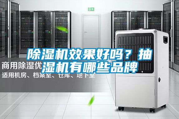 除濕機效果好嗎？抽濕機有哪些品牌