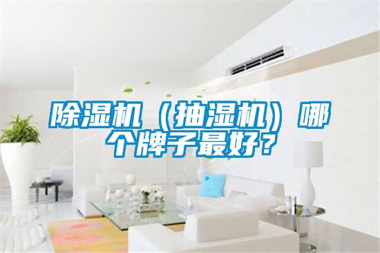 除濕機（抽濕機）哪個牌子最好？