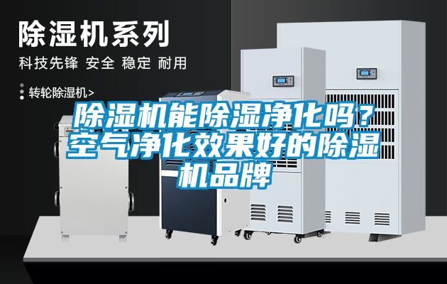 除濕機(jī)能除濕凈化嗎？空氣凈化效果好的除濕機(jī)品牌