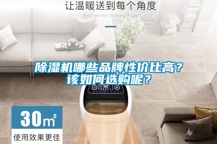 除濕機(jī)哪些品牌性價(jià)比高？該如何選購(gòu)呢？