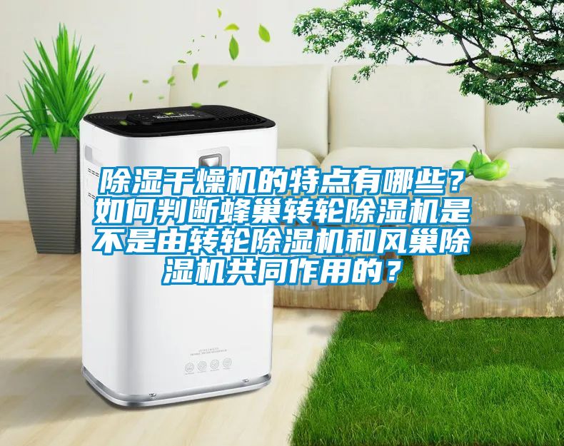 除濕干燥機的特點有哪些？如何判斷蜂巢轉(zhuǎn)輪除濕機是不是由轉(zhuǎn)輪除濕機和風巢除濕機共同作用的？