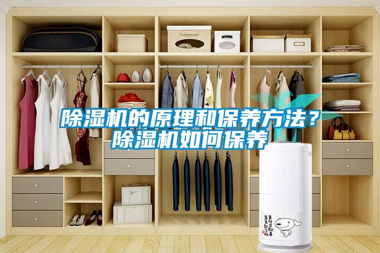 除濕機(jī)的原理和保養(yǎng)方法？除濕機(jī)如何保養(yǎng)