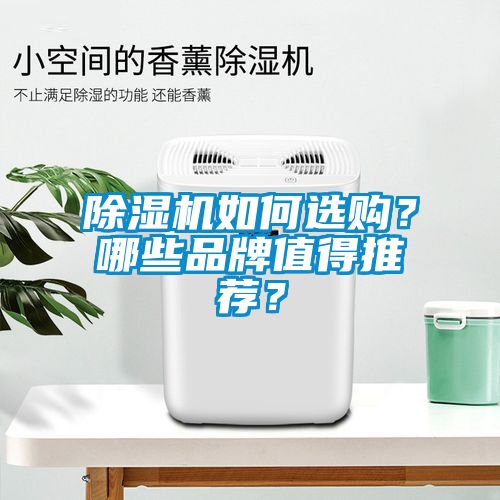 除濕機如何選購？哪些品牌值得推薦？