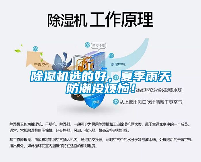 除濕機選的好，夏季雨天防潮沒煩惱！