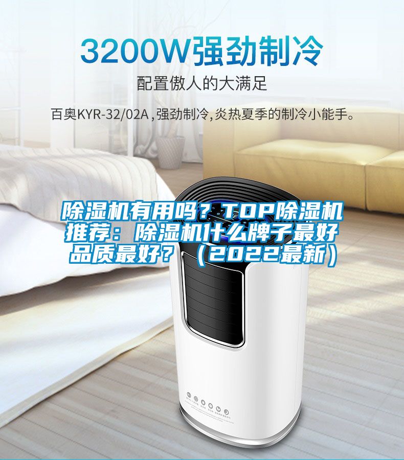 除濕機(jī)有用嗎？TOP除濕機(jī)推薦：除濕機(jī)什么牌子最好品質(zhì)最好？（2022最新）