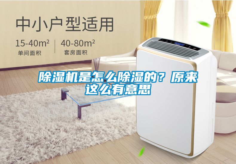 除濕機(jī)是怎么除濕的？原來(lái)這么有意思