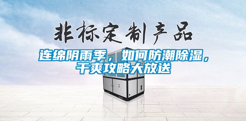 連綿陰雨季，如何防潮除濕，干爽攻略大放送