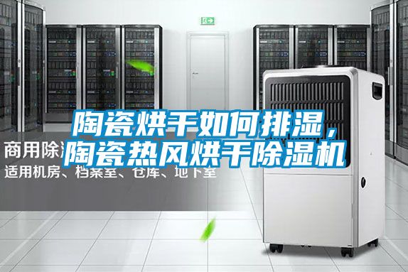 陶瓷烘干如何排濕，陶瓷熱風(fēng)烘干除濕機(jī)
