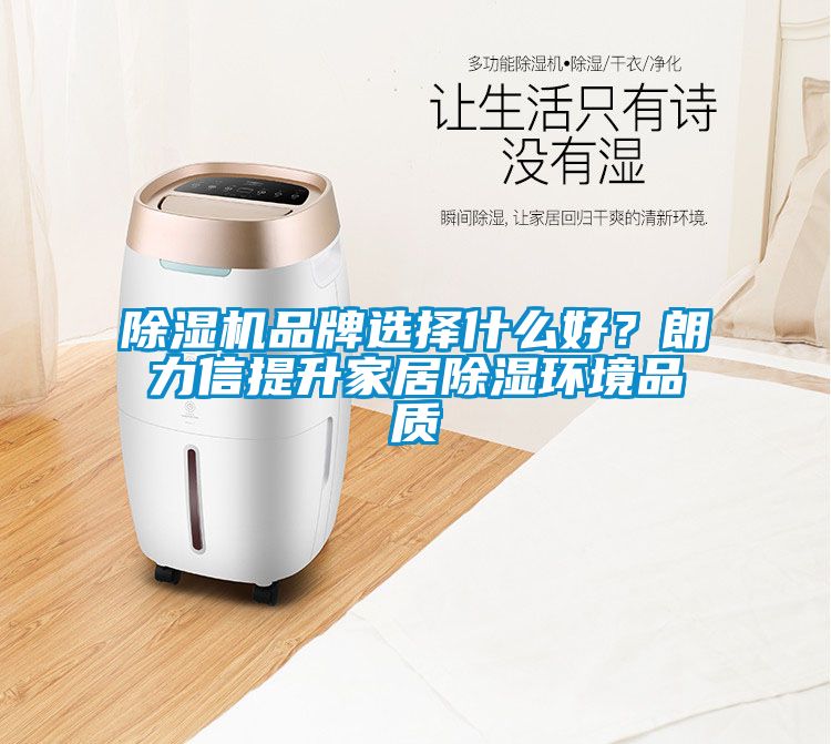 除濕機(jī)品牌選擇什么好？朗力信提升家居除濕環(huán)境品質(zhì)