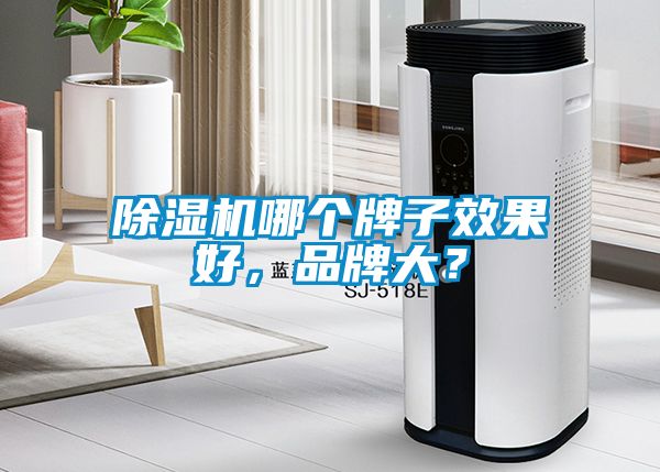 除濕機(jī)哪個(gè)牌子效果好，品牌大？