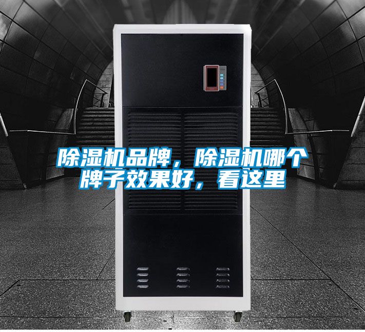除濕機(jī)品牌，除濕機(jī)哪個(gè)牌子效果好，看這里