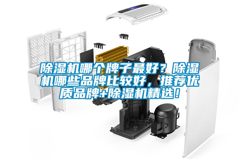 除濕機(jī)哪個牌子最好？除濕機(jī)哪些品牌比較好，推薦優(yōu)質(zhì)品牌+除濕機(jī)精選！
