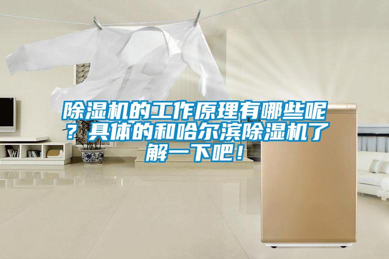 除濕機(jī)的工作原理有哪些呢？具體的和哈爾濱除濕機(jī)了解一下吧！