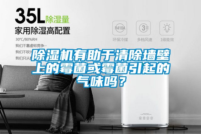 除濕機(jī)有助于清除墻壁上的霉菌或霉菌引起的氣味嗎？
