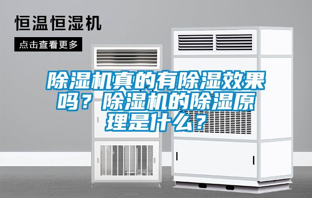 除濕機真的有除濕效果嗎？除濕機的除濕原理是什么？