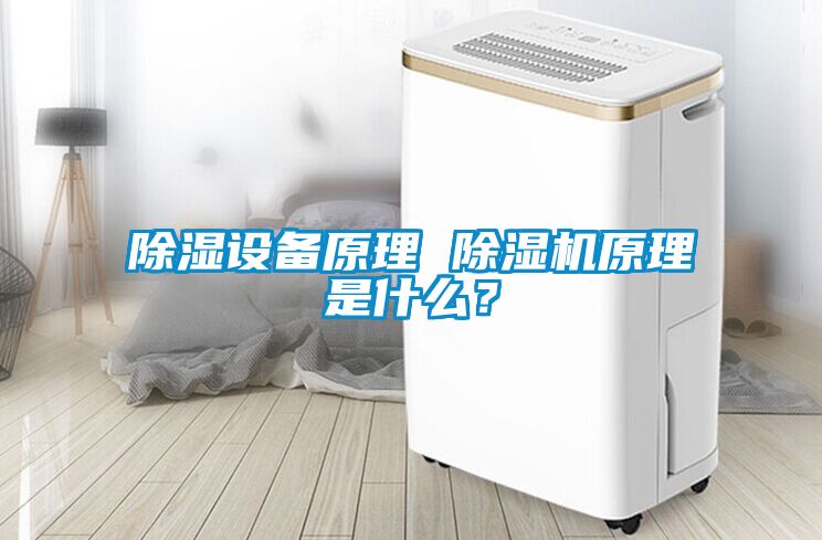 除濕設(shè)備原理 除濕機(jī)原理是什么？