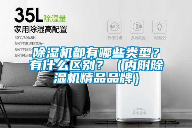 除濕機都有哪些類型？有什么區(qū)別？（內(nèi)附除濕機精品品牌）