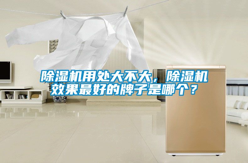 除濕機(jī)用處大不大，除濕機(jī)效果最好的牌子是哪個(gè)？