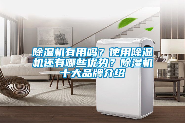 除濕機(jī)有用嗎？使用除濕機(jī)還有哪些優(yōu)勢(shì)？除濕機(jī)十大品牌介紹