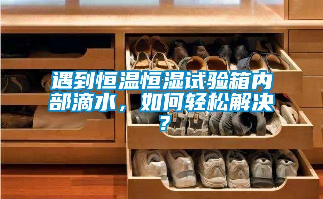 遇到恒溫恒濕試驗(yàn)箱內(nèi)部滴水，如何輕松解決？
