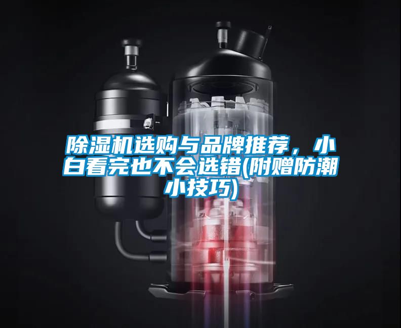 除濕機選購與品牌推薦，小白看完也不會選錯(附贈防潮小技巧)