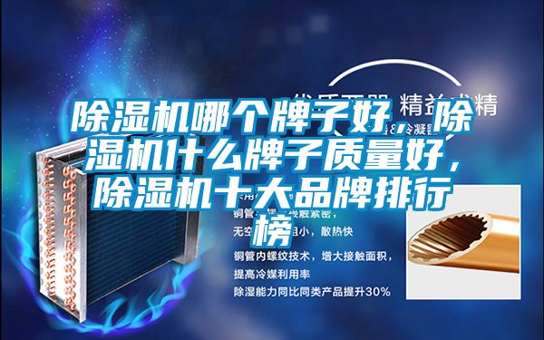 除濕機(jī)哪個牌子好，除濕機(jī)什么牌子質(zhì)量好，除濕機(jī)十大品牌排行榜