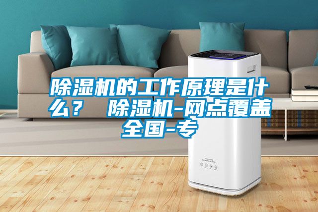 除濕機(jī)的工作原理是什么？ 除濕機(jī)-網(wǎng)點(diǎn)覆蓋全國(guó)-專