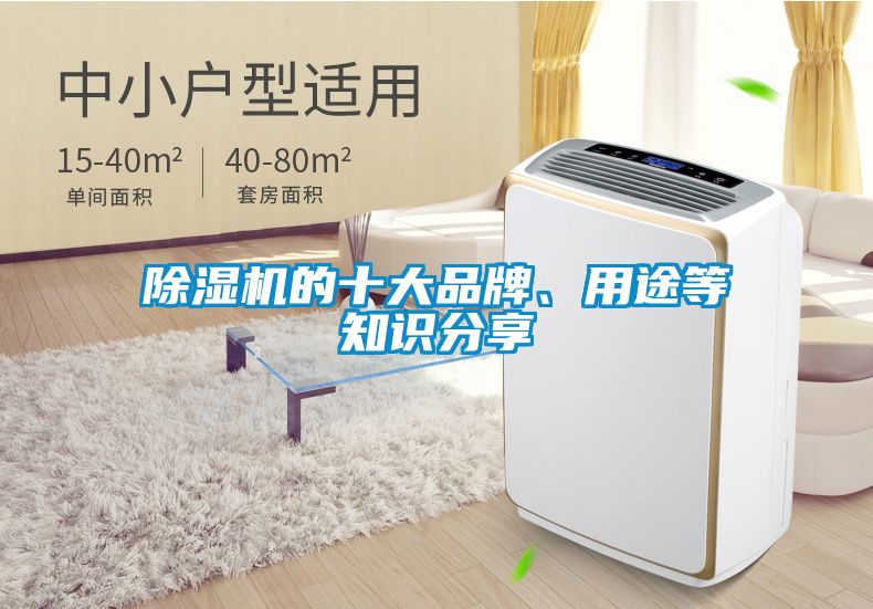 除濕機(jī)的十大品牌、用途等知識分享