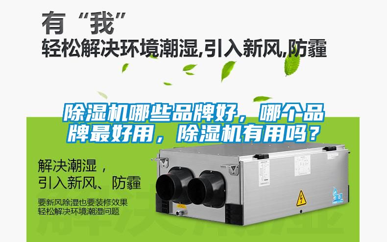 除濕機哪些品牌好，哪個品牌最好用，除濕機有用嗎？