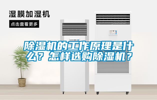 除濕機(jī)的工作原理是什么？怎樣選購除濕機(jī)？