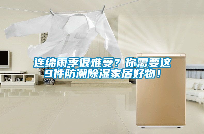連綿雨季很難受？你需要這9件防潮除濕家居好物！