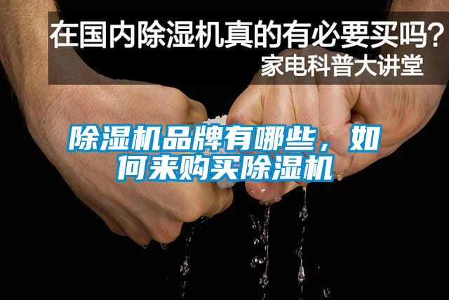 除濕機(jī)品牌有哪些，如何來購買除濕機(jī)