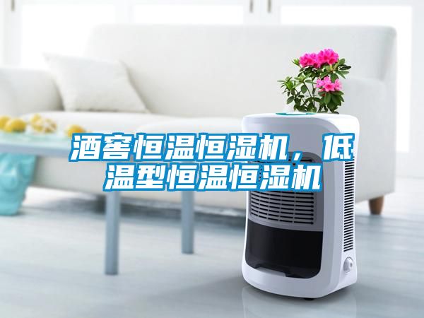 酒窖恒溫恒濕機(jī)，低溫型恒溫恒濕機(jī)