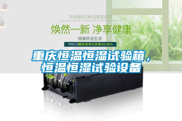 重慶恒溫恒濕試驗箱，恒溫恒濕試驗設備