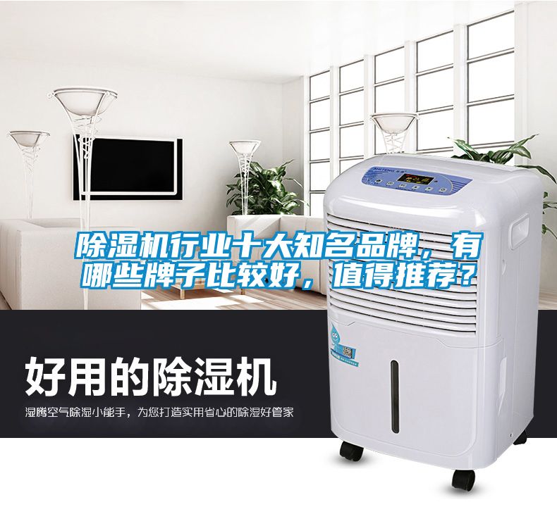 除濕機(jī)行業(yè)十大知名品牌，有哪些牌子比較好，值得推薦？