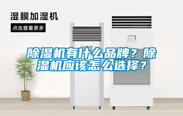除濕機(jī)有什么品牌？除濕機(jī)應(yīng)該怎么選擇？