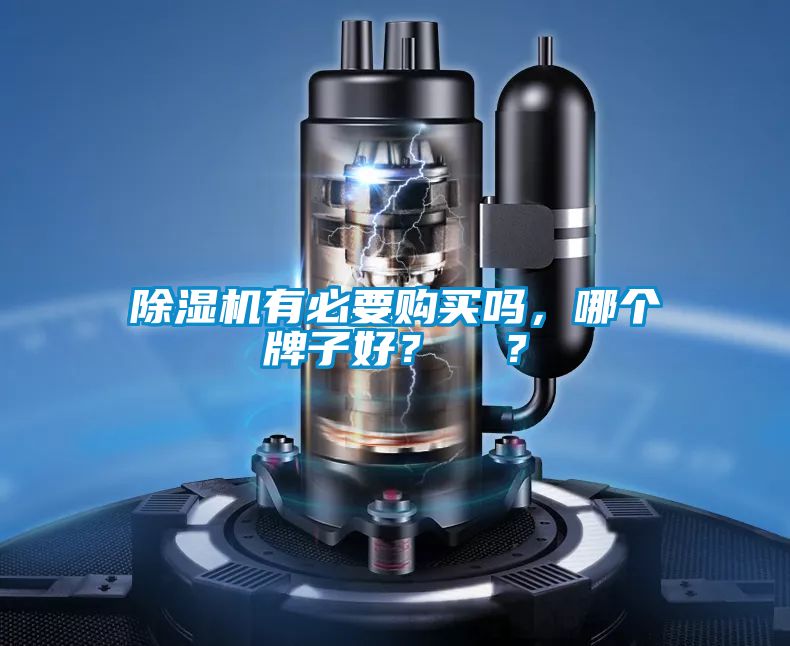 除濕機有必要購買嗎，哪個牌子好？  ？