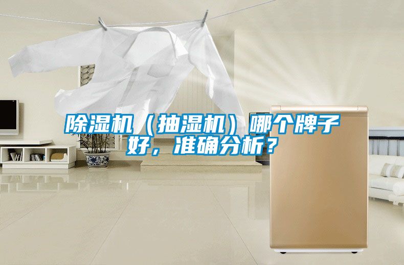 除濕機（抽濕機）哪個牌子好，準(zhǔn)確分析？