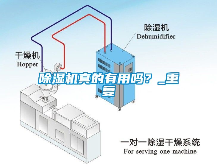 除濕機真的有用嗎？_重復