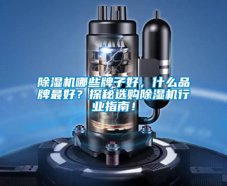除濕機(jī)哪些牌子好，什么品牌最好？探秘選購(gòu)除濕機(jī)行業(yè)指南！