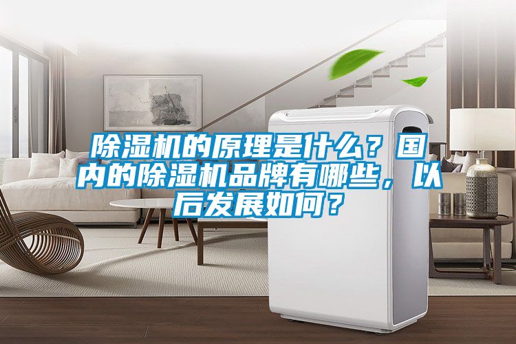 除濕機(jī)的原理是什么？國(guó)內(nèi)的除濕機(jī)品牌有哪些，以后發(fā)展如何？