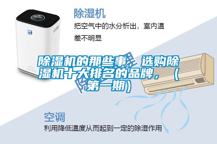 除濕機(jī)的那些事，選購(gòu)除濕機(jī)十大排名的品牌，（第一期）